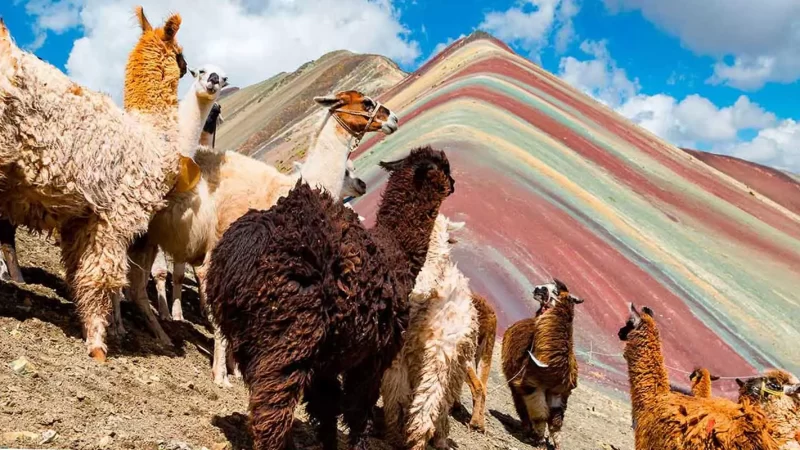 Montaña de 7 Colores Perú - Dika Travel México