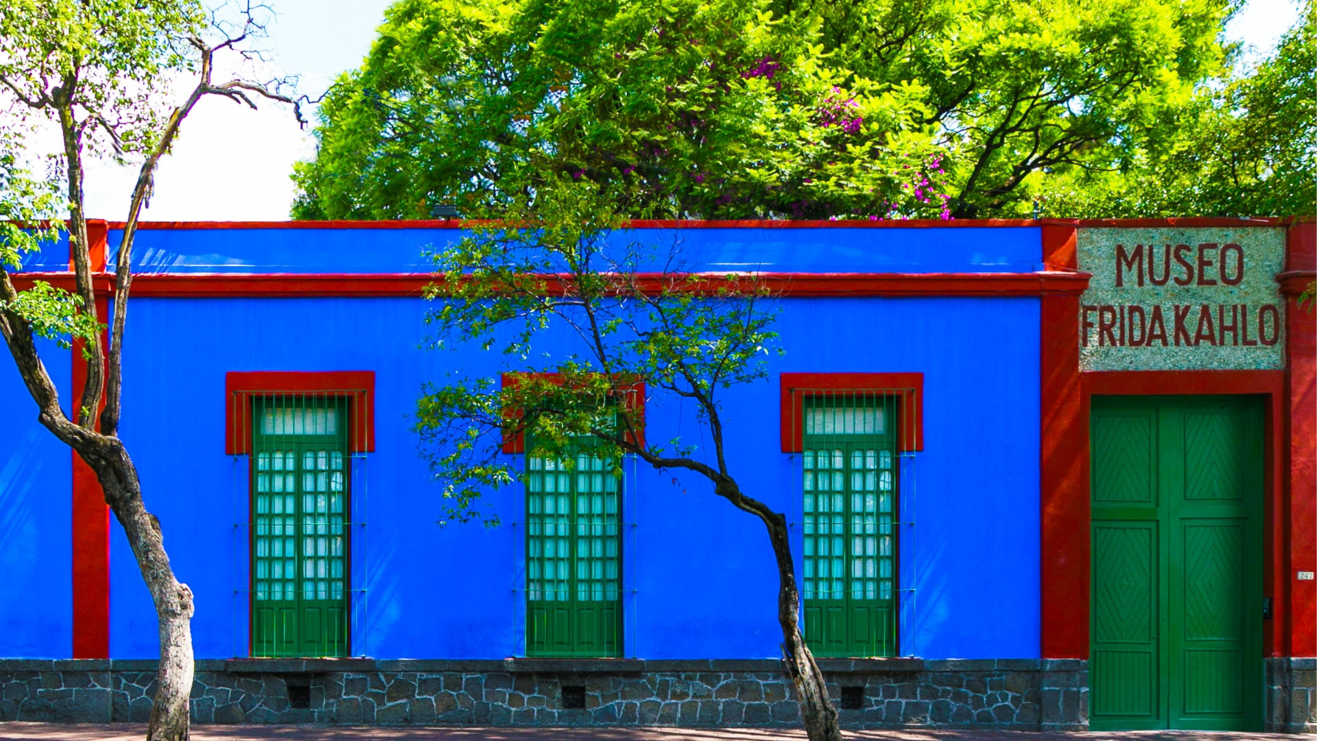 Dika Travel México - Museo Frida